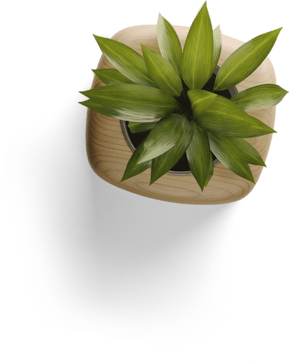 Image is not available